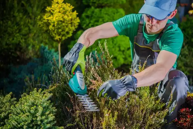 landscaping services Mashpee Neck